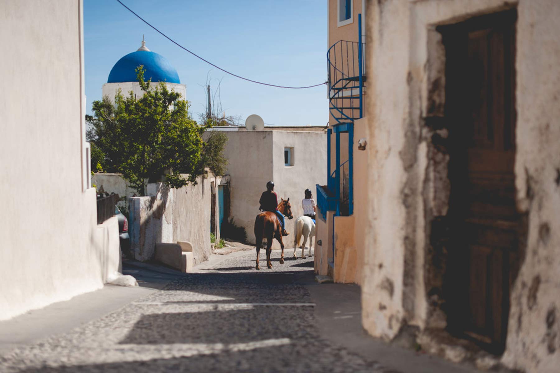 santorini360 tours santorini horse riding 4